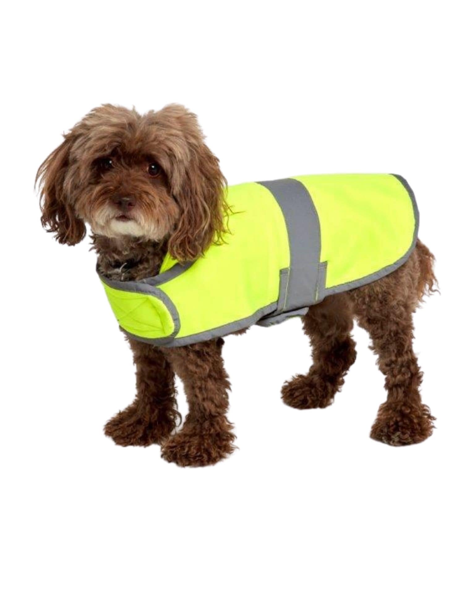 High visibility shop dog vest